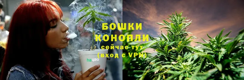 Конопля THC 21%  Новомосковск 